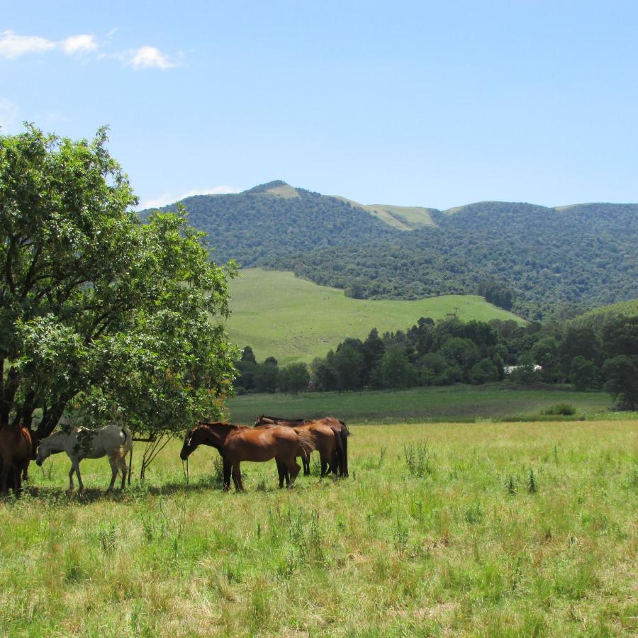 Evergreen Cabin Karkloof Yarrow 外观 照片